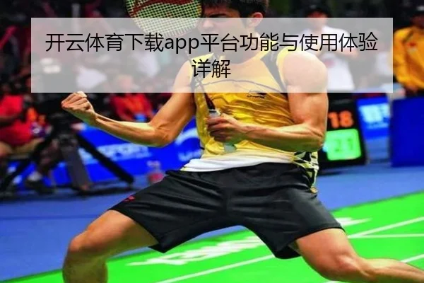 开云体育下载app平台功能与使用体验详解